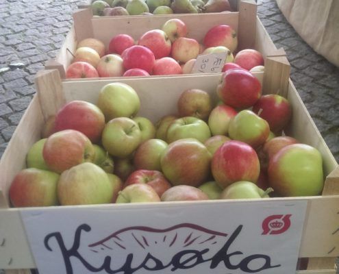 KysØko æbleplantage på økologisk marked på Valby Tingsted