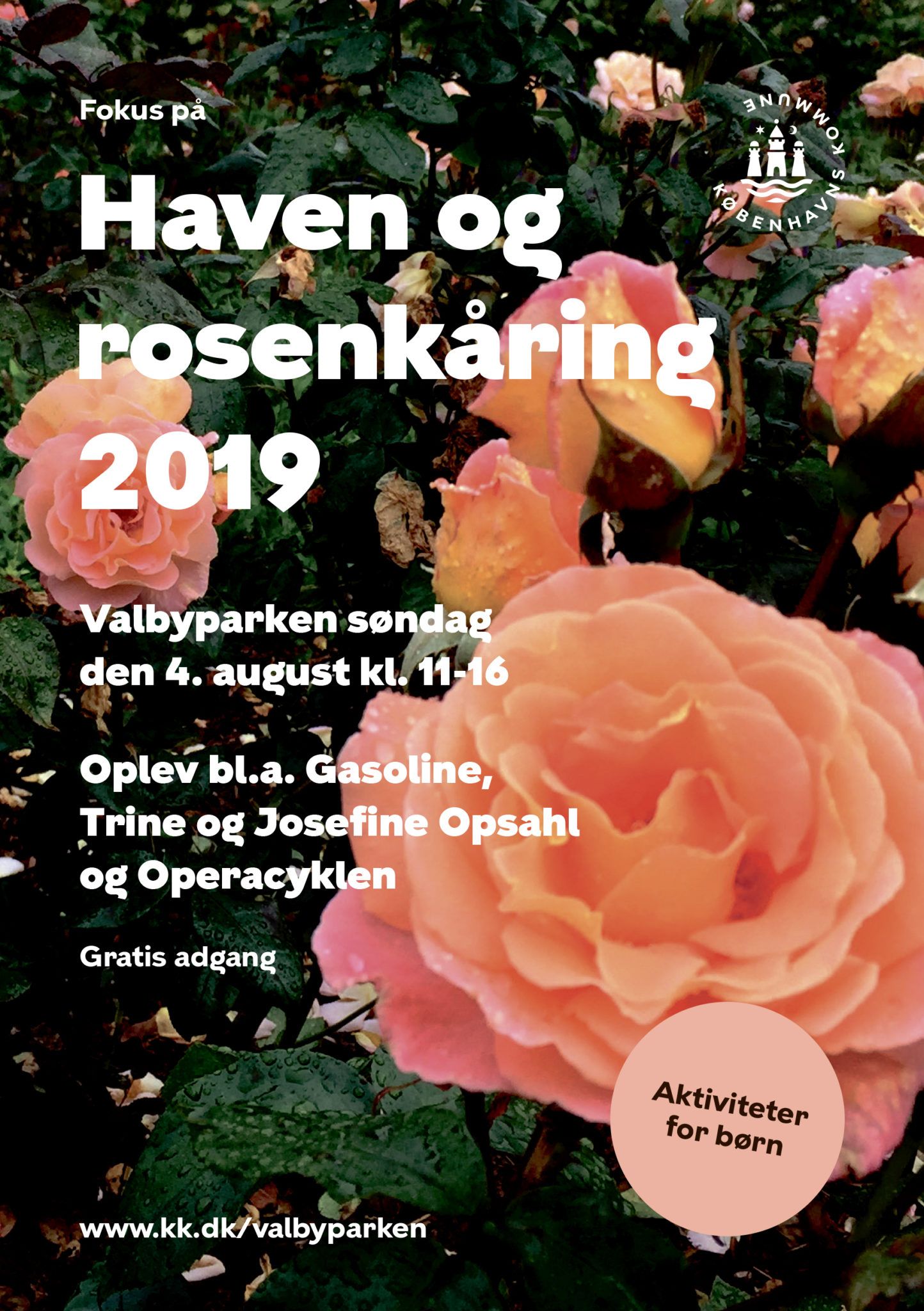 ROSENKÅRING_2019_program-1