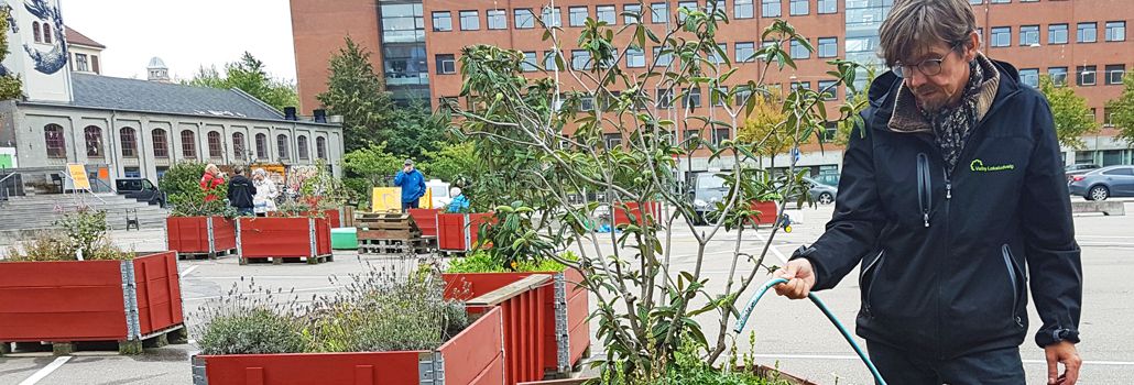 Valby miljøgruppe plantedag Toftegårds Plads nyhed