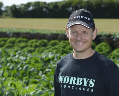 Ole Nørby, Nørbys Grøntsager
