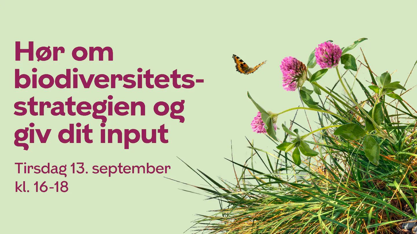Biodiversitet strategi borgermøde september